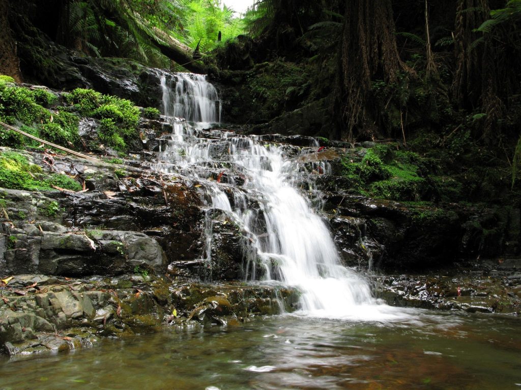 Exploring the Trails of Mount Sabine