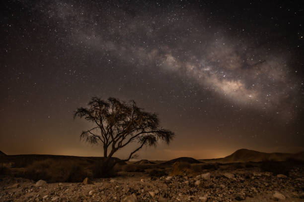 The Top Stargazing Destinations Across Australia