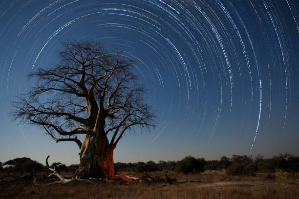 Australia's premier Stargazing Hotspots Revealed