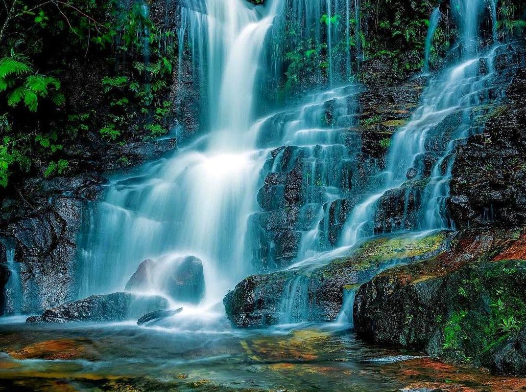 Journey Along the Poet’s Walk in Wentworth Falls