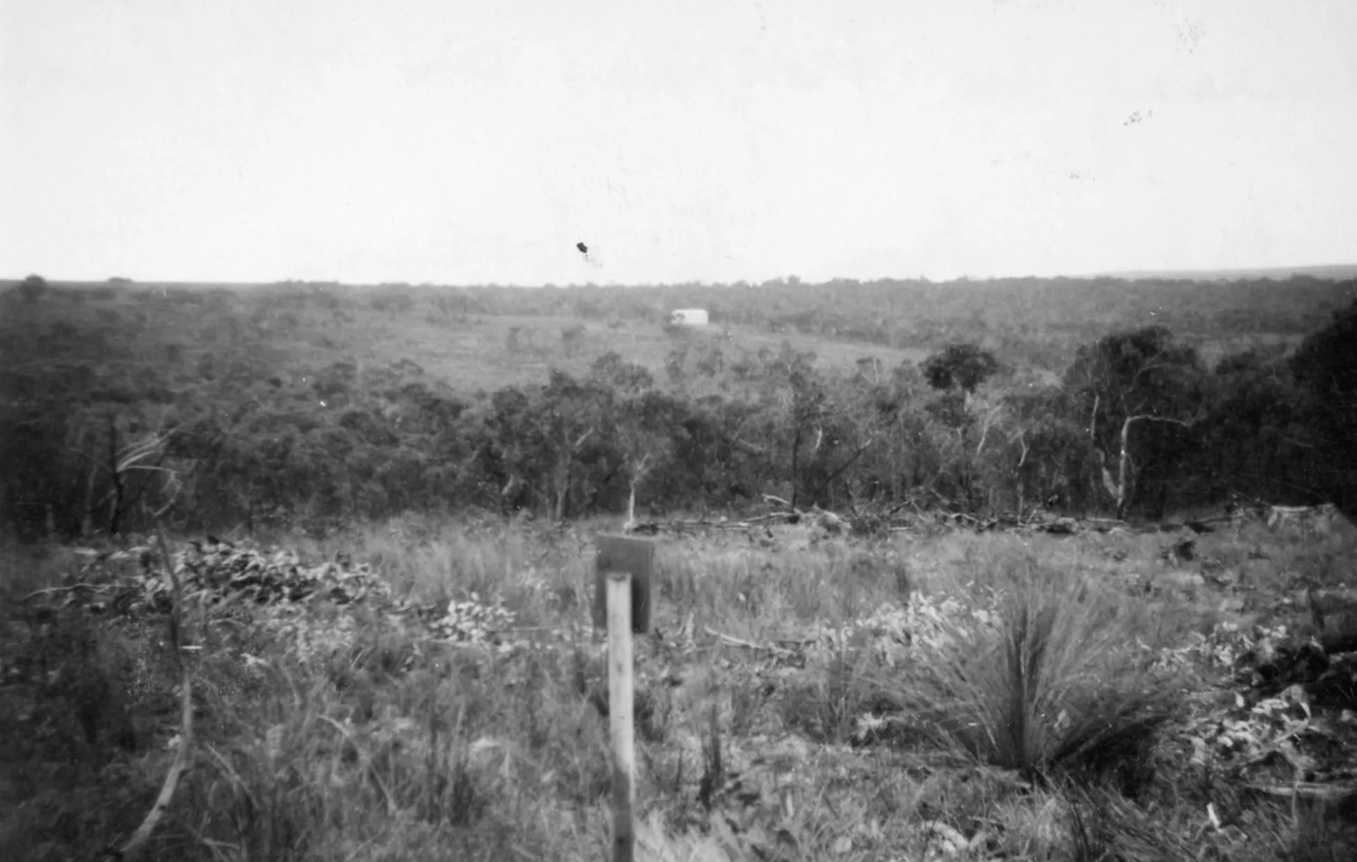 The Great Ocean Road Construction