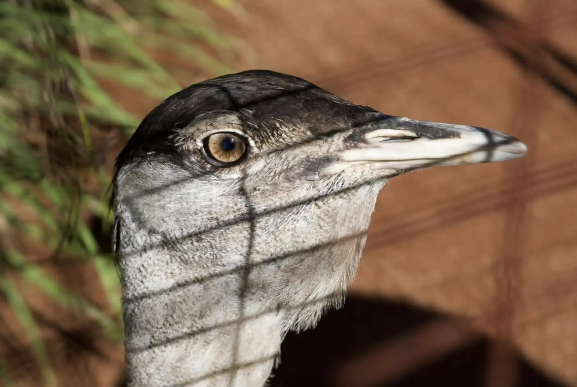 Hunter Valley Zoo tickets