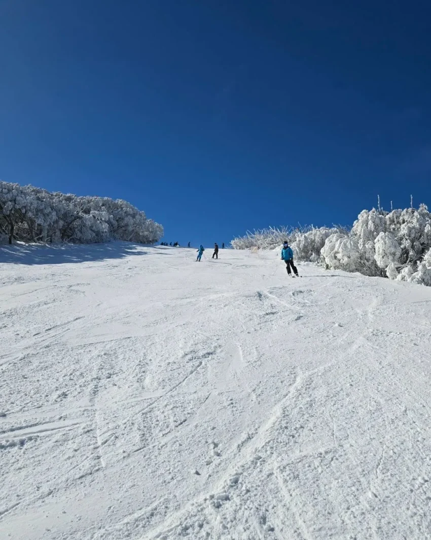 What Is the Cheapest Month to Go Skiing