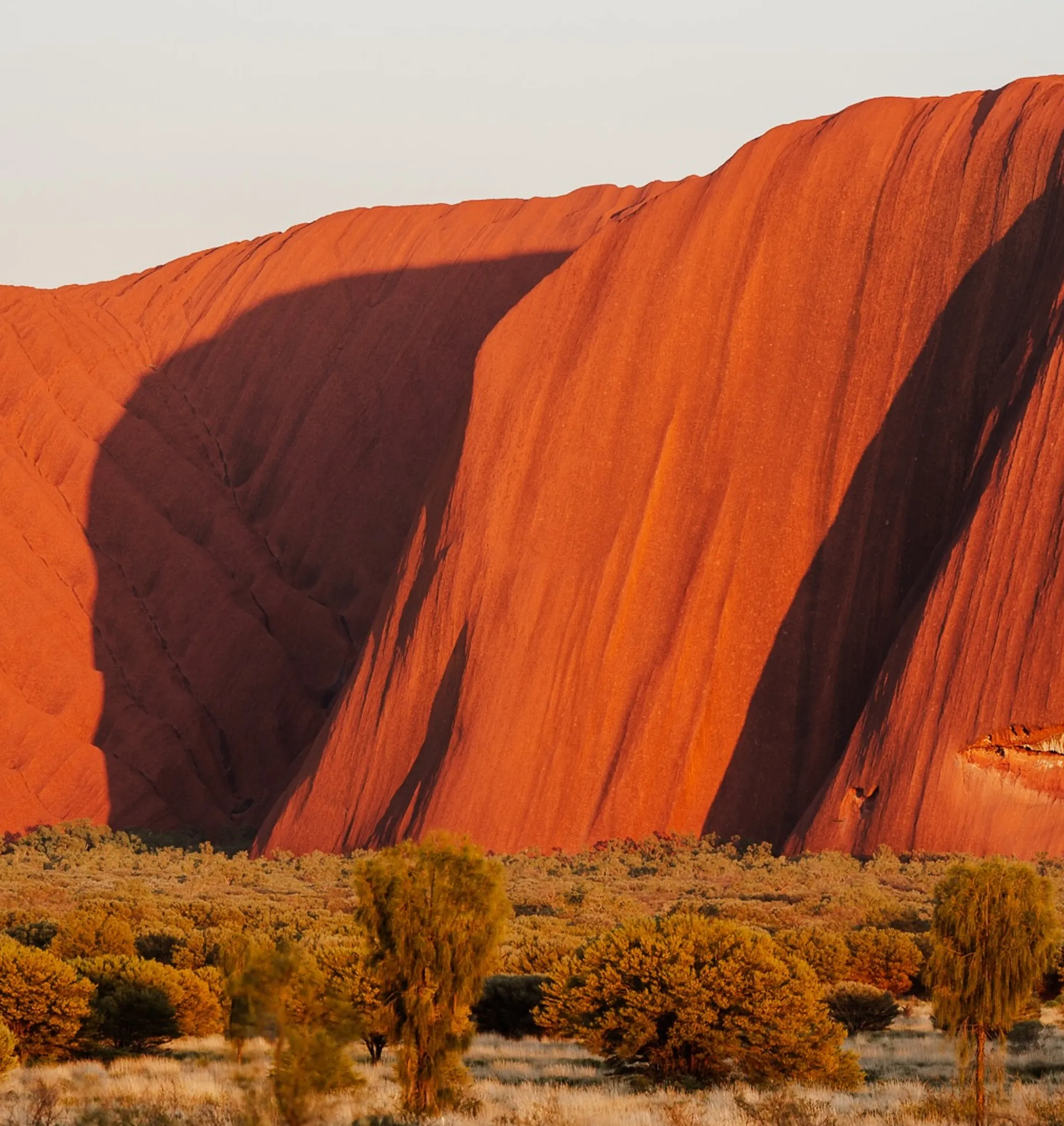 uluru family pass
