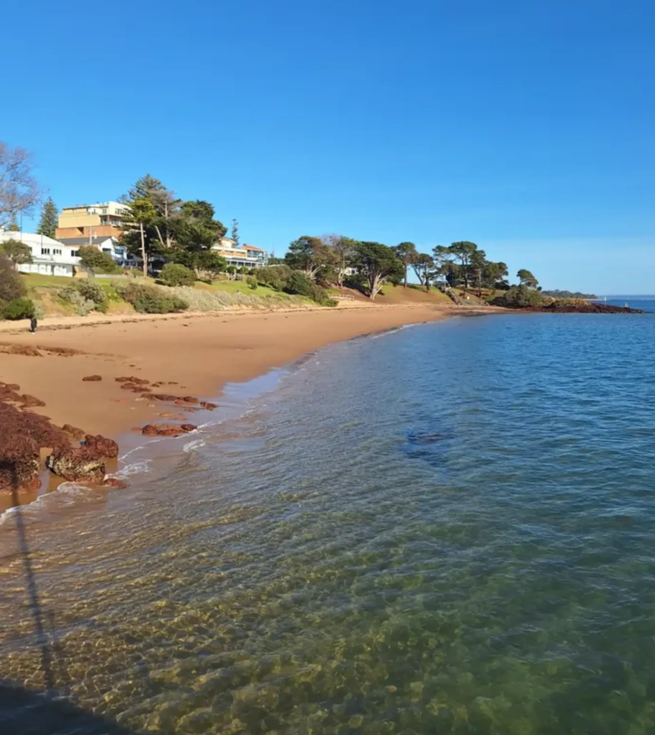 Penguin Island walk trail