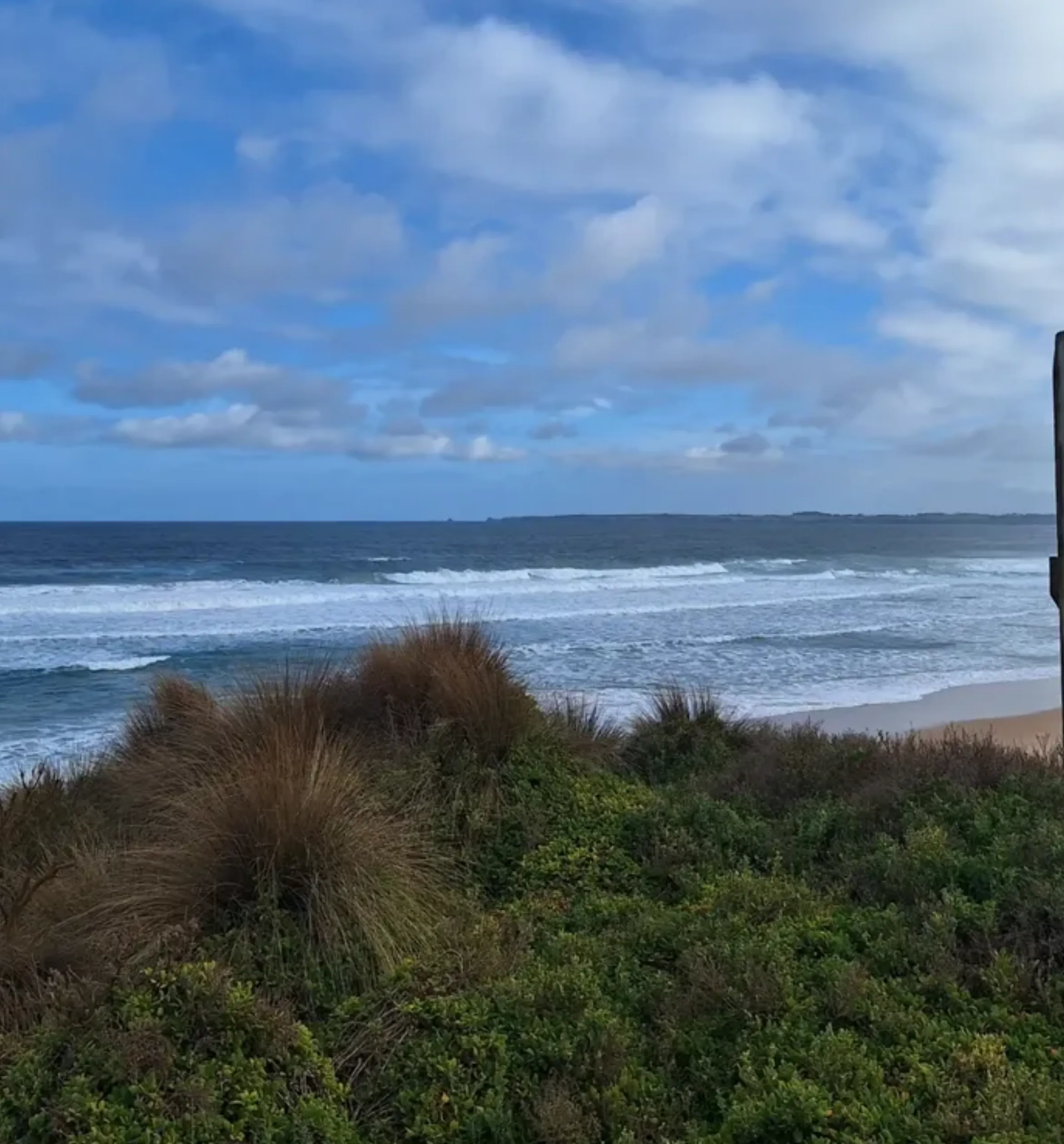 how long to walk around Penguin Island